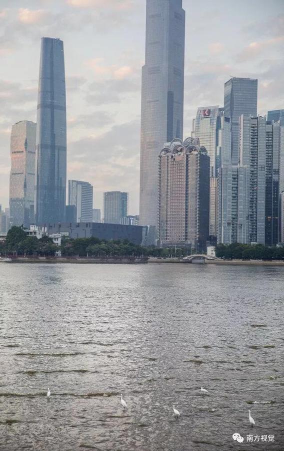 Xcellent International Serviced Apartment Guangzhou Exteriör bild